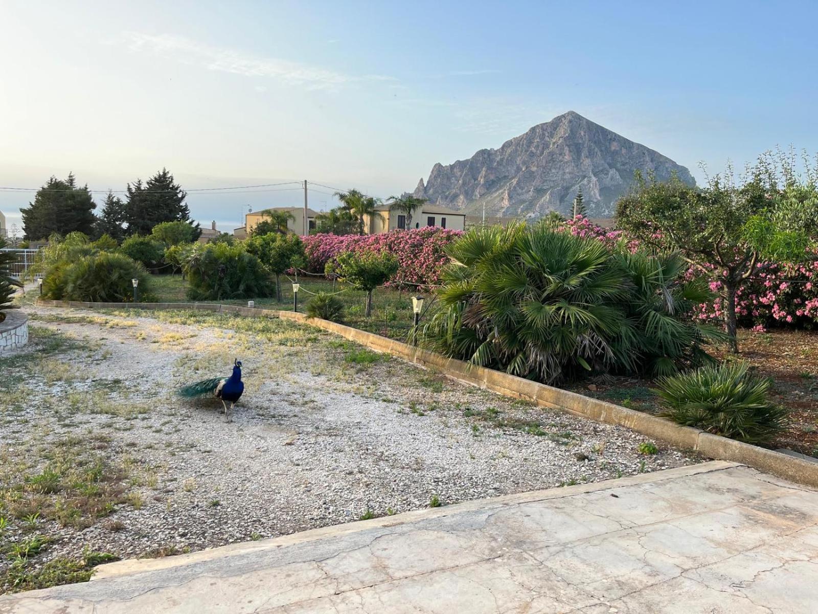 Villa Lea Custonaci Kültér fotó